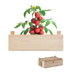 Tomatenkweekset in een houten kist inclusief tuincompost. Kweek je eigentomaten in je tuin of kas - TOMATO